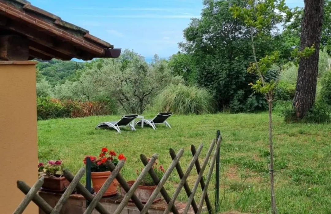 Il Montedoro-1